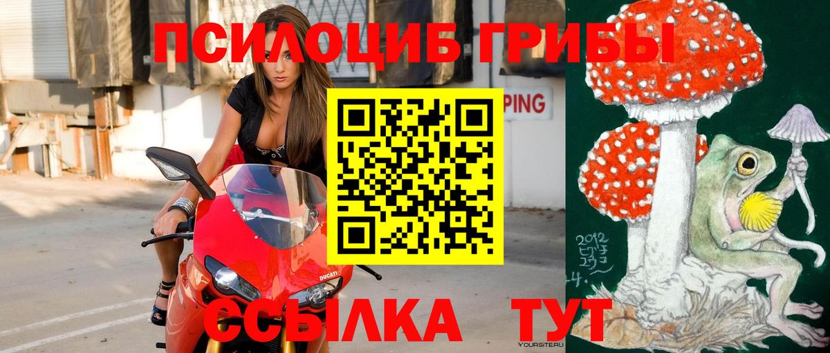 Псилоцибиновые грибы Cubensis  Псилоцибиновые грибы ЛСД  Клин  Вход с VPN 